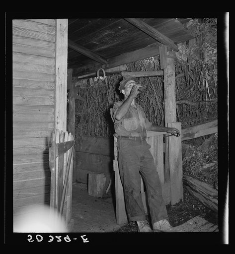Coal miner (Italian) takes a drink of wine in front of his home after coming home from work late in the afternoon. "The Patch"  Chaplin, West Virginia