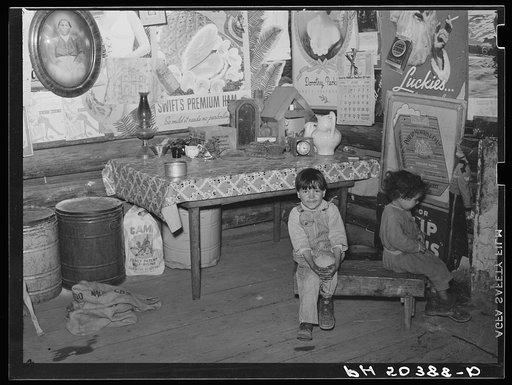 Untitled photo, possibly related to: Home of Indians (mixed breed) who have not yet been resettled on Pembroke Farms. Maxton, North Carolina