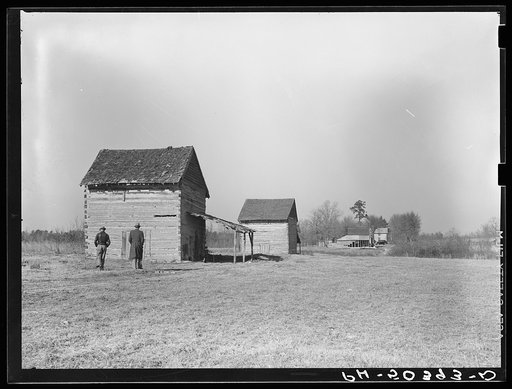 Untitled photo, possibly related to: Farmland and tobacco barns purchased for rehabilitation client near Raleigh, North Carolina