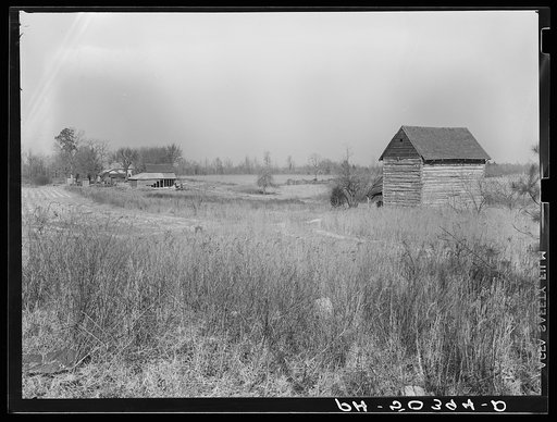 Farmland and tobacco barns purchased for rehabilitation client near Raleigh, North Carolina