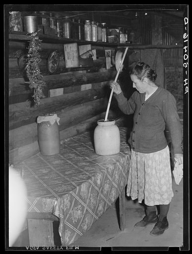 Untitled photo, possibly related to: Home of Indians (mixed breed) who have not yet been resettled on Pembroke Farms. Maxton, North Carolina