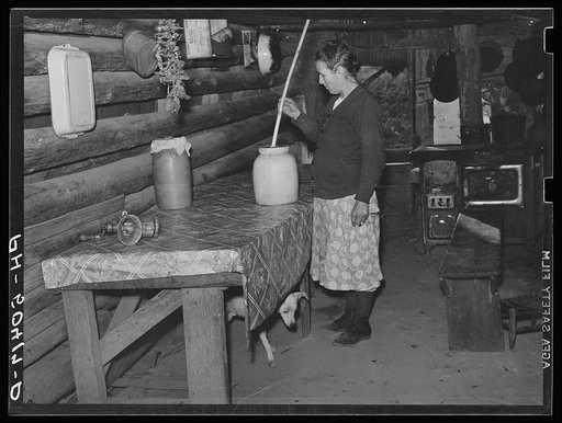 Untitled photo, possibly related to: Home of Indians (mixed breed) who have not yet been resettled on Pembroke Farms. Maxton, North Carolina