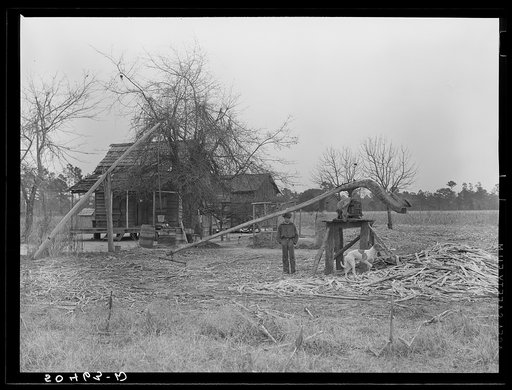 Home of Indian family (brass ankles, mixed breed) near Summerville, South Carolina, with sorghum cane grinder in foreground