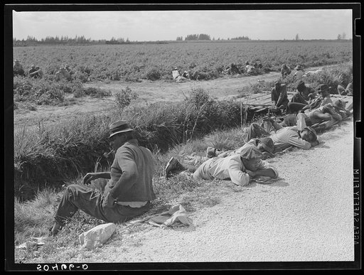 Negro tomato pickers during lunch hour. Homestead, Florida