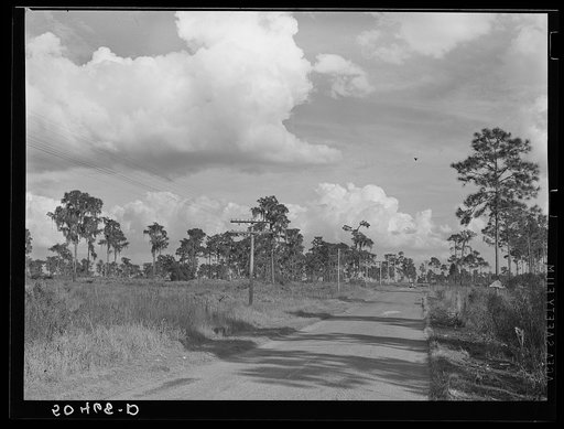 Typical Florida road and country near Winter Haven