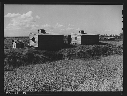 Untitled photo, possibly related to: Negro migrant agricultural laborers' shack by canal near Belle Glade, Florida