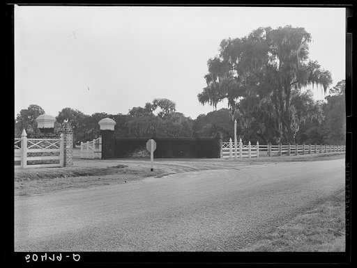 Untitled photo, possibly related to: Typical Florida country near Moore Haven