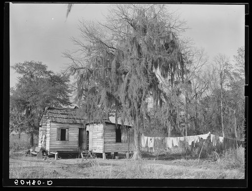 Negro shack near Beaufort, South Carolina. Negro living there is a bricklayer