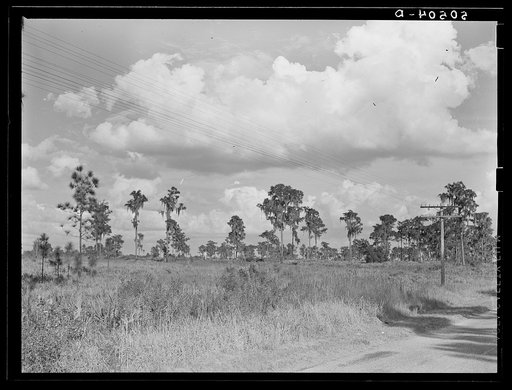 Typical Florida county near Winter Haven