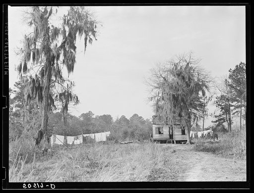Untitled photo, possibly related to: Negro shack near Beaufort, South Carolina. Negro living there is a bricklayer