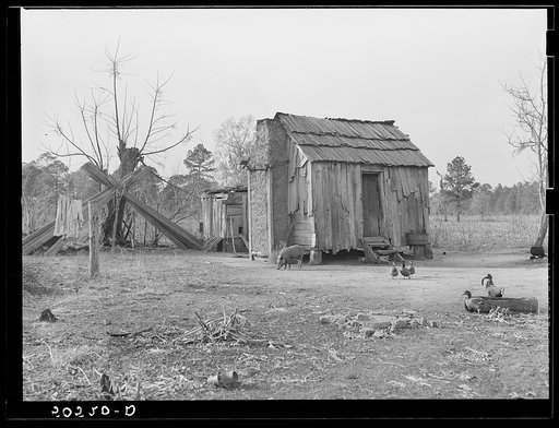 Negro's home near Beaufort, South Carolina, showing mud chimney
