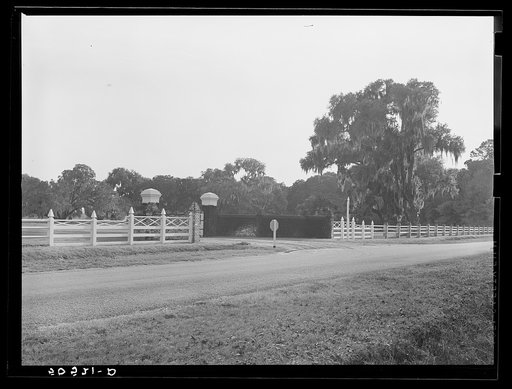 Untitled photo, possibly related to: Typical Florida road and country near Winter Haven