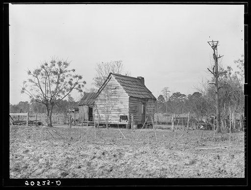Negro home near Beaufort, South Carolina