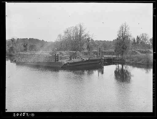 Untitled photo, possibly related to: Logs on river barge near sawmill. Ashepoo, South Carolina