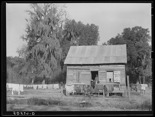 Negro home near Charleston, South Carolina