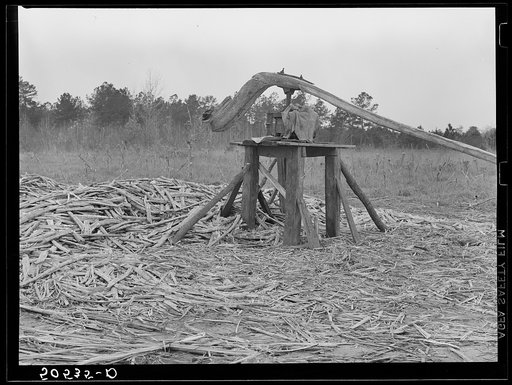 Untitled photo, possibly related to: Grinding mill for sorghum cane made by Indian family near Summerville, South Carolina