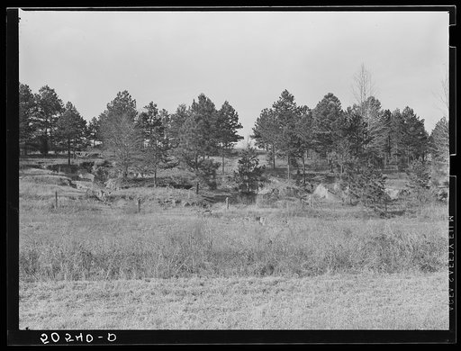 Eroded, gullied land on Monticello Road near Columbia, South Carolina