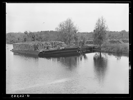 Logs on river barge near sawmill. Ashepoo, South Carolina