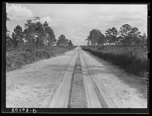 Typical Florida road and country near Winter Haven