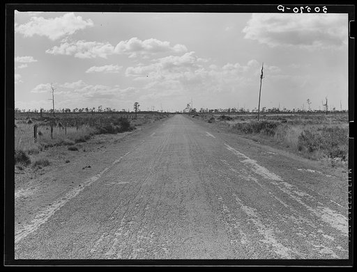 Typical Florida road and country near Winter Haven