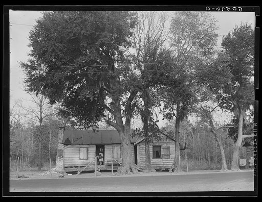 Untitled photo, possibly related to: Negro shack near Summerville, South Carolina