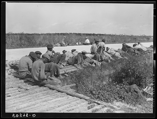 Negro tomato pickers during lunch hour. Homestead, Florida