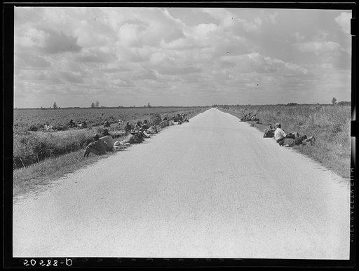 Lunch hour for Negro tomato pickers. Homestead, Florida
