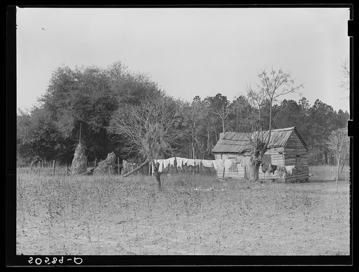 Home of Negro family near Charleston, South Carolina