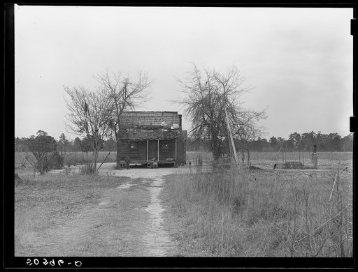 Untitled photo, possibly related to: Indian (mixed breed--"brass ankle") family near Summerville, South Carolina
