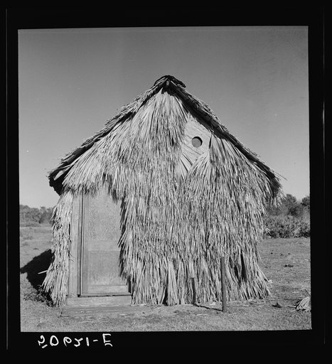 Front of thatched house made of palm leaves near Moore Haven, Florida