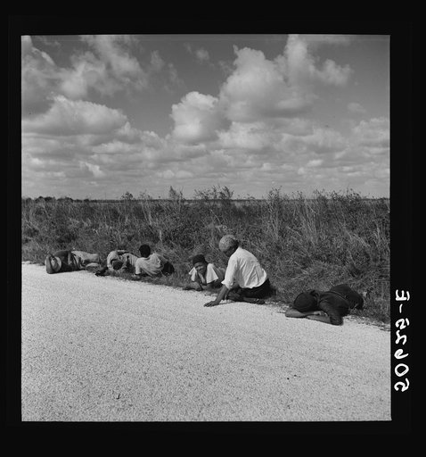 Untitled photo, possibly related to: Lunch hour for Negro tomato pickers. Homestead, Florida