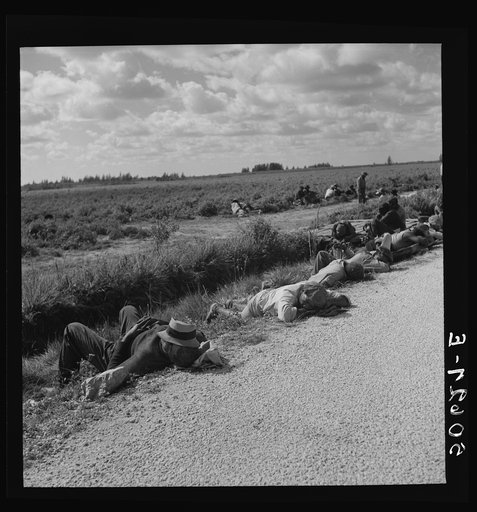 Untitled photo, possibly related to: Lunch hour for Negro tomato pickers. Homestead, Florida