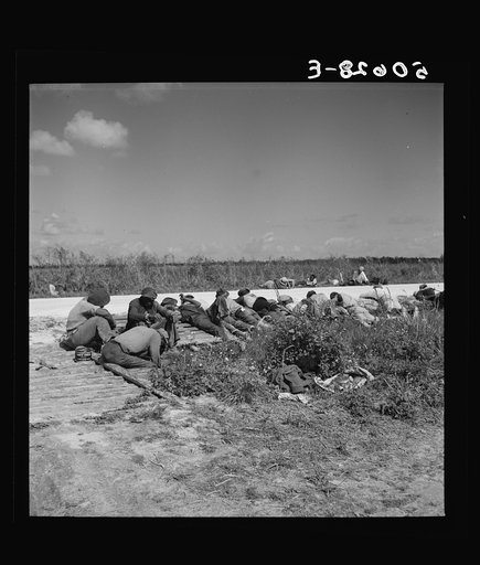 Untitled photo, possibly related to: Lunch hour for Negro tomato pickers. Homestead, Florida