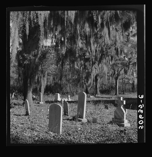 Untitled photo, possibly related to: Graveyard in rear of church near Summerville, South Carolina