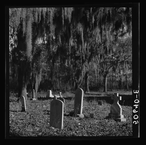 Graveyard in rear of church near Summerville, South Carolina