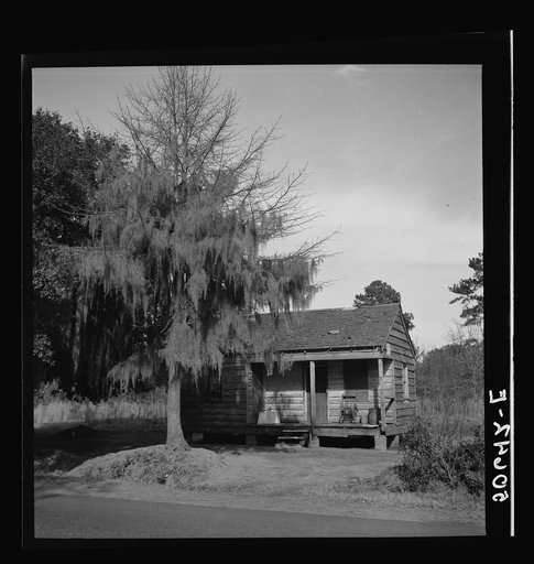 Untitled photo, possibly related to: Negro's home near Beaufort, South Carolina