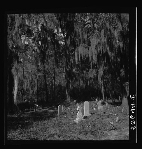 Untitled photo, possibly related to: Graveyard in rear of church near Summerville, South Carolina