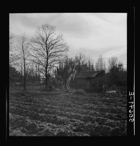Untitled photo, possibly related to: Negro's home near Beaufort, South Carolina