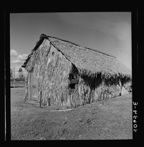 Untitled photo, possibly related to: Front of thatched house made of palm leaves near Moore Haven, Florida