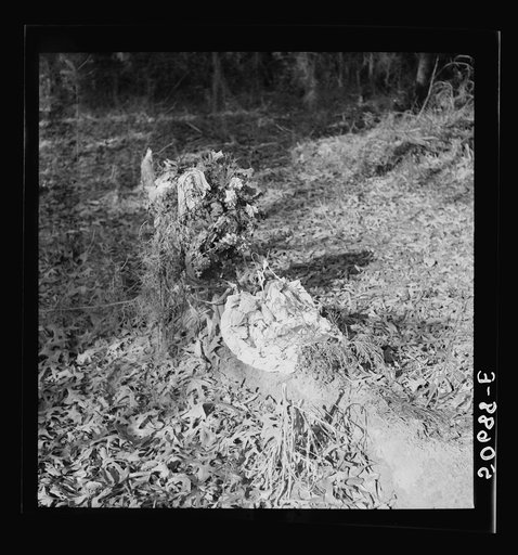 Untitled photo, possibly related to: Graveyard in rear of church. Summerville, South Carolina