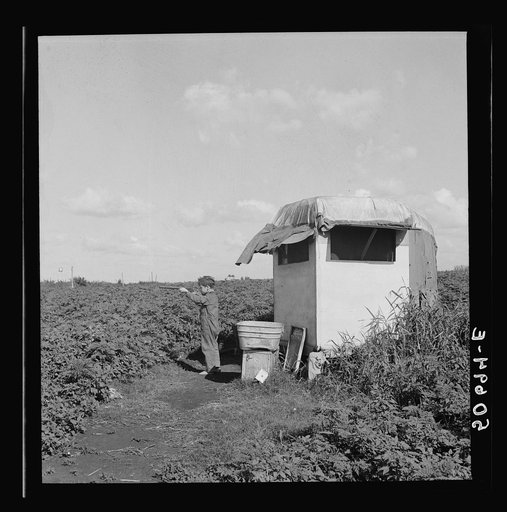 One of the three children of Pennsylvania packing house workers, trying out his new BB gun, a Christmas present. The trailer is homemade, on the edge of a vegetable field, no water or sanitary facilities. Belle Glade, Florida