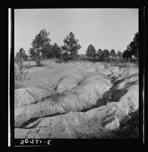 Eroded and gullied land near Wadesboro, North Carolina