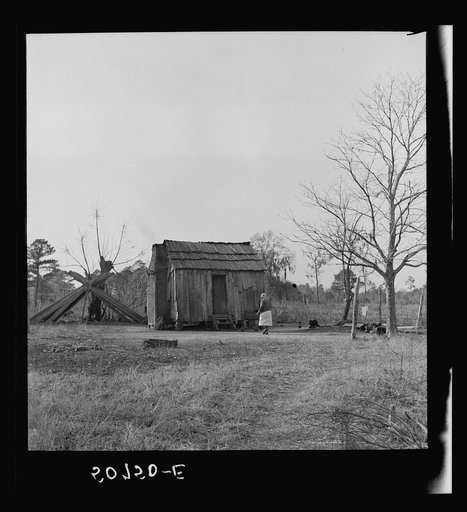 Untitled photo, possibly related to: Old Negro man, who was dying, lived in this shack alone near Beaufort, South Carolina
