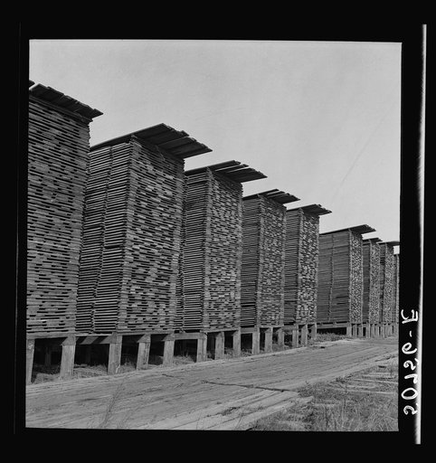 Stacks of lumber at sawmill. Ashepoo, South Carolina