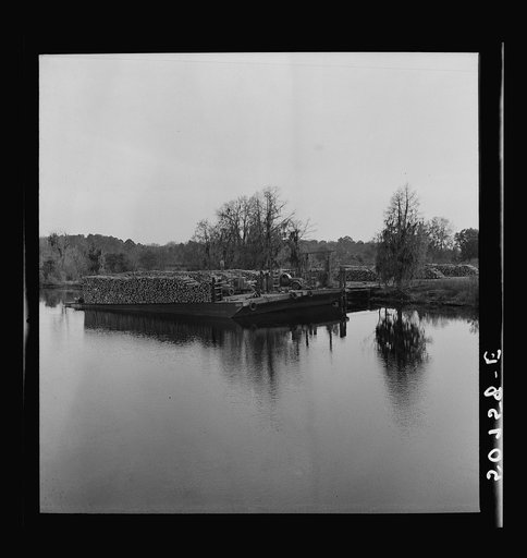 Untitled photo, possibly related to: Stacks of lumber at sawmill. Ashepoo, South Carolina