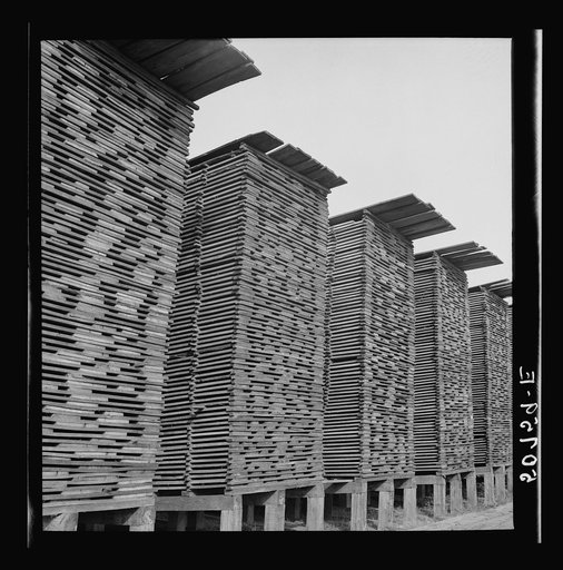 Untitled photo, possibly related to: Stacks of lumber at sawmill. Ashepoo, South Carolina