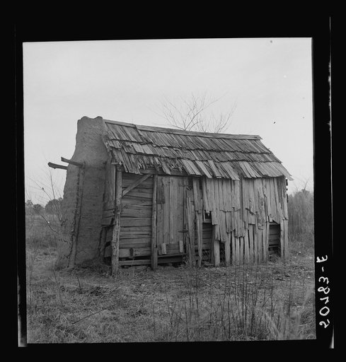 Old Negro man, who was dying, lived in this shack alone near Beaufort, South Carolina