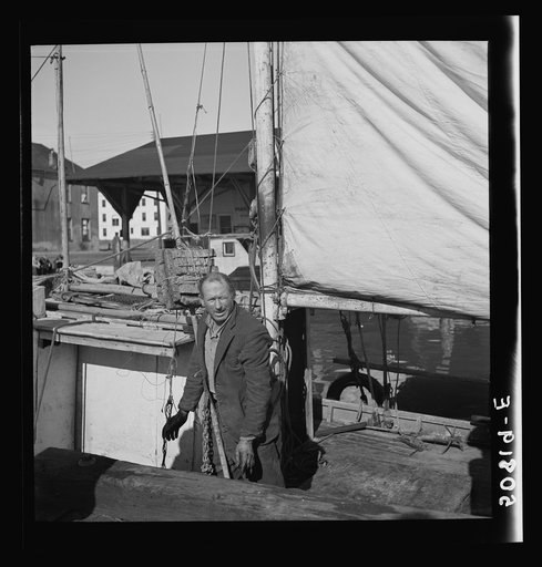 Untitled photo, possibly related to: Fisherman on the dock, Charleston, South Carolina on Christmas Day