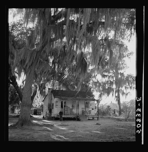 White family's home near Summerville, South Carolina