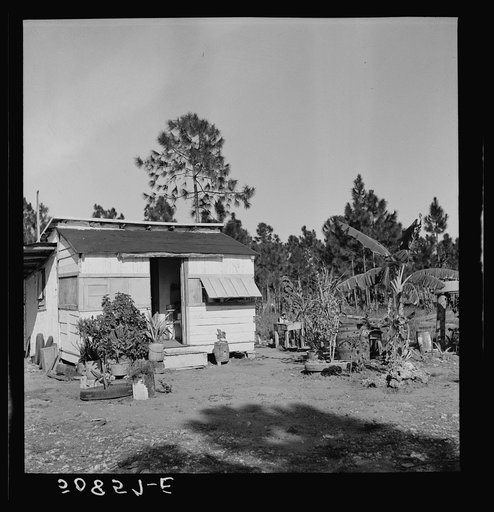 Untitled photo, possibly related to: Old shack, formerly a field house, lived in by migrant agricultural laborer from Tennessee who formerly worked on the railroad. Homestead, Florida